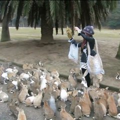 Men save a trapped whale and are rewarded with an outpouring of pure joy