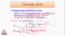 Compounds & Function of Nucleic Acid ,Structure of DNA & Difference between DNA and RNA