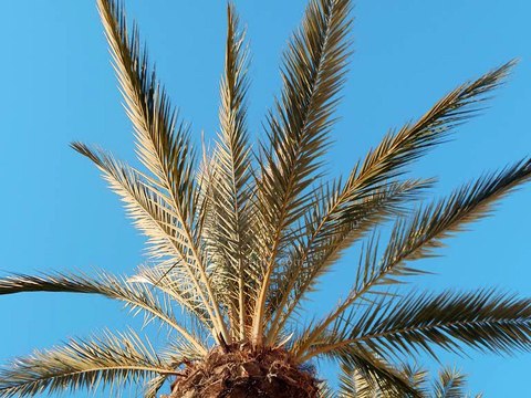 Rêve d'Espagne : Location de vacances / Vente maison appartement