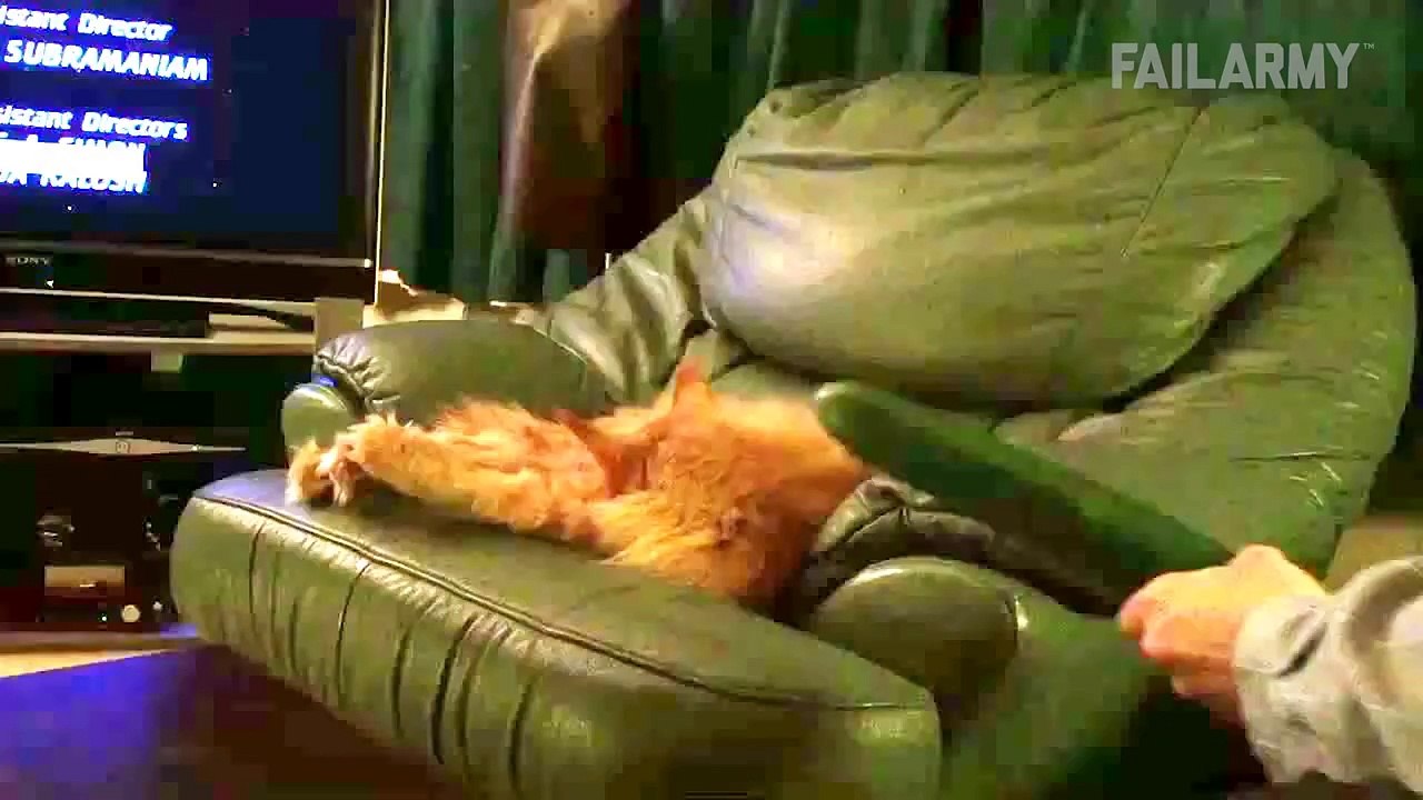 Funniest Animal Fails Compilation 2015