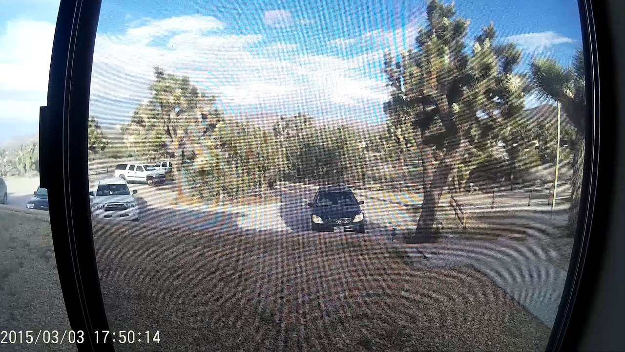 Through the Desert | Part One (Spring Break 2016 @ Joshua Tree National Park)