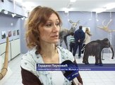 Džinovi ledenog doba, 18. mart 2016. (RTV Bor)