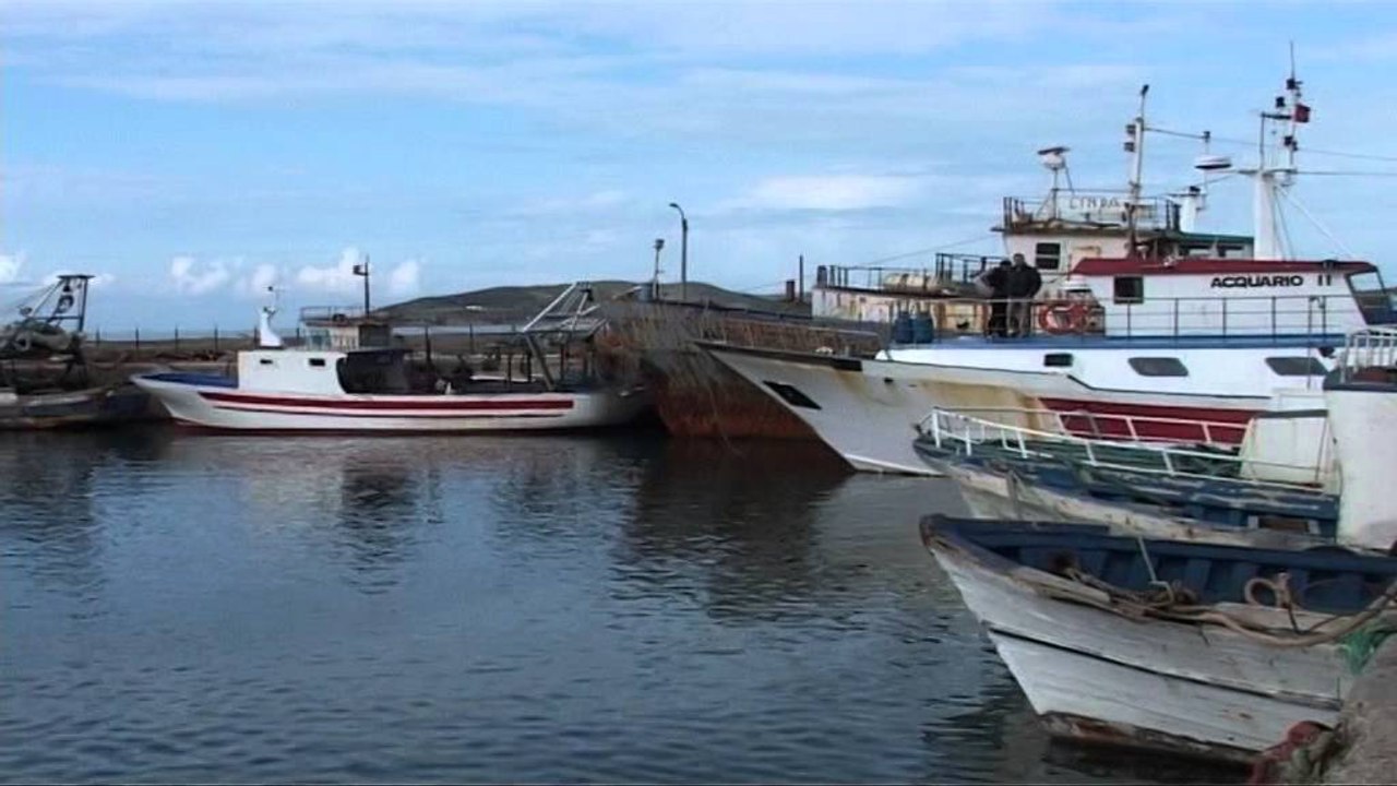 REKORD KRIMESH NGA JANARI NE MARS, SHTOHEN VRASJET MAFIOZE DHE TRITOLI LAJM mpg