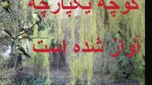 نوروزتان فرخنده  و  بهارتان سرسبز باد