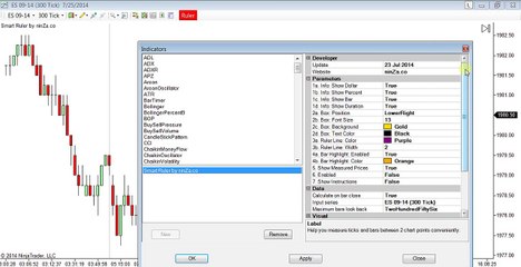 NinjaTrader- Smart Ruler by ninZa.co (Update- 23 Jul 2014)