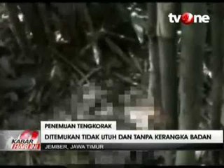 Warga di Jember Digegerkan Penemuan Tengkorak Manusia