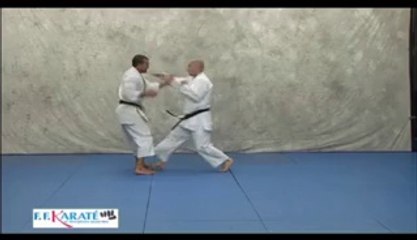 KIHON IPPON KUMITE (LA LIGNE)_Prépa aux examens de grades