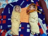 Twin babies - Laughing Talking Crying Sleeping