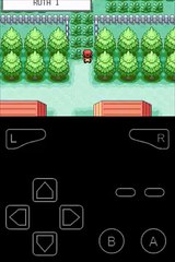 Pokemon Rojo Fuego-Capítulo 2 Capturando un Pidgey