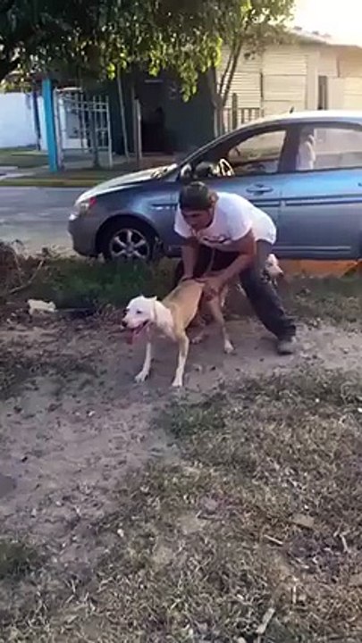 Dog supper jump-Amazing Video Lolzz-Top Funny Videos-Top Prank Videos-Top Vines Videos-Viral Video-Funny Fails