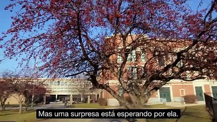 Todo professor deve ser valorizado. Isso foi lindo!