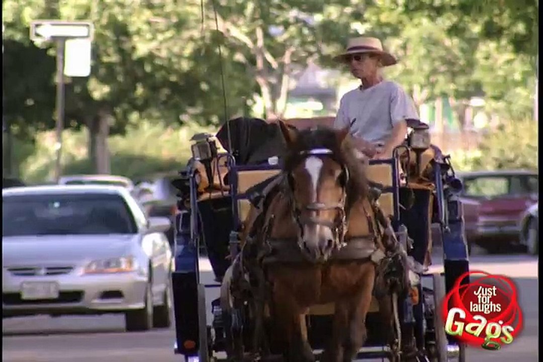 Horse-drawn carriage Police Chase!