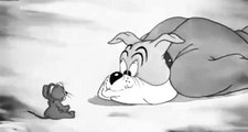 Tom and Jerry   Tom and Jerry Cartoon   Mouse For Dinner 1946  Tom And Jerry Cartoons