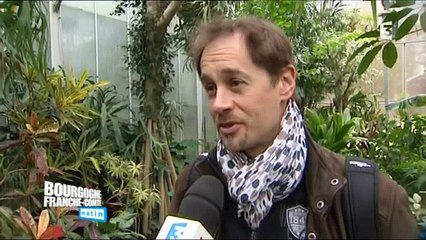 Deux parcs de la ville de Sens dans l'Yonne, viennent de se voir renouveler leur label « Jardins remarquables »,