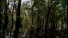 Amazonia documentary2017