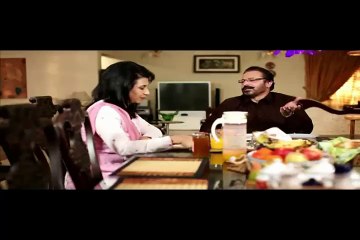 Chand Jalta Raha Last Episode 23 in HD on Ptv Home Pak Drama - 18 Mar 20106