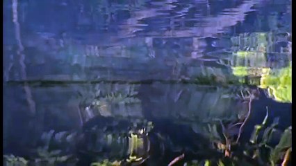 Amazonia documentary2401