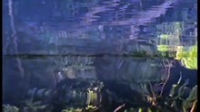 Amazonia documentary2401
