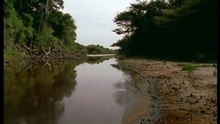 Amazonia documentary2593
