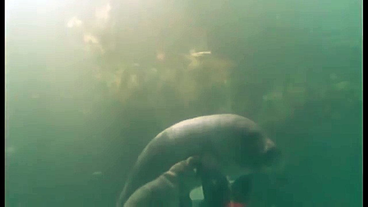 Amazonia documentary3457