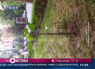 Oko istoka, 18. mart 2016. (RTV Bor)