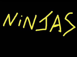 Pivot Night time Ninjas