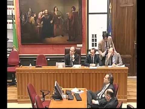 Roma - Audizione esperti su articolo 49 della Costituzione (17.03.16)
