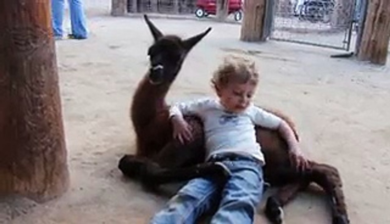 A Goat Gotta Go When A Goats Gotta Go