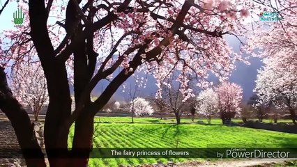 Beautiful Pakistan With Beautiful Pakistani New Song 2016 - Lighter Machis