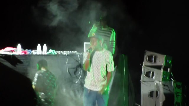 Tyler The Creator - Colossus - Live @ Camp Flog Gnaw Odd Future ( ofwgkta ) Carnival 11-9-13 in HD