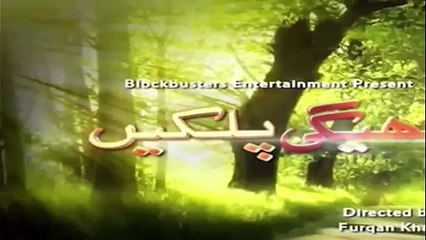 Bheegi Palkein Episode 20 Promo | A-Plus TV Drama