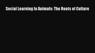 Download Social Learning In Animals: The Roots of Culture Ebook Free