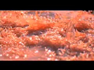Razor Hoof Music Video