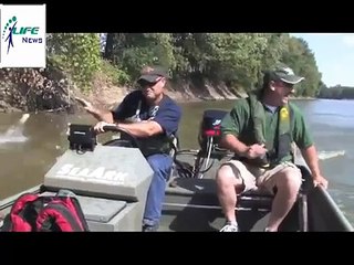 السمك يقفز بنفسه مباشرة إلى القارب - مشهد غاية في الروعة