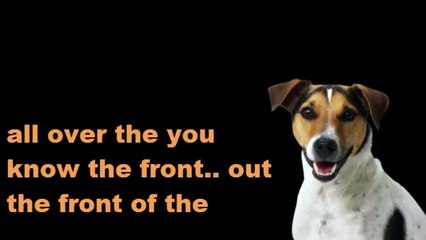 Dog Murderer - Prank call (18+)