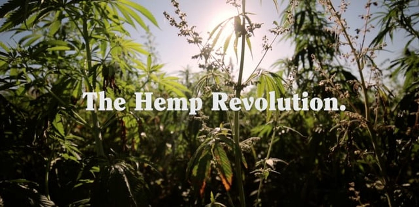 Skuff TV Offcut - Afends Hemp Revolution