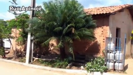 Memórias de Babaçulândia-Parte 3