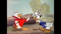 Donald Duck cartoons-Dessins Animes Walt Disney veritable,certifie pour enfants NON STOP FULL HD  De