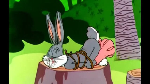 Wild Turkey Surprise Bugs Bunny and Taz Full Clip HD Bugs Bunny Cartoons