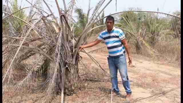 La sequía golpea los cultivos en el norte de Colombia