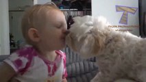 Cute Babies , Cats and Dogs compilation