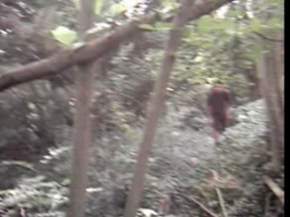 Epizode 10..passage kamikaze de sukebe