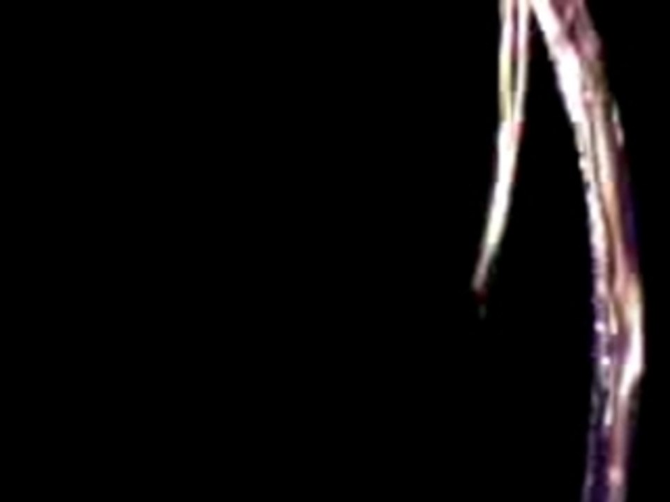 Bolas a la teuf etnocid