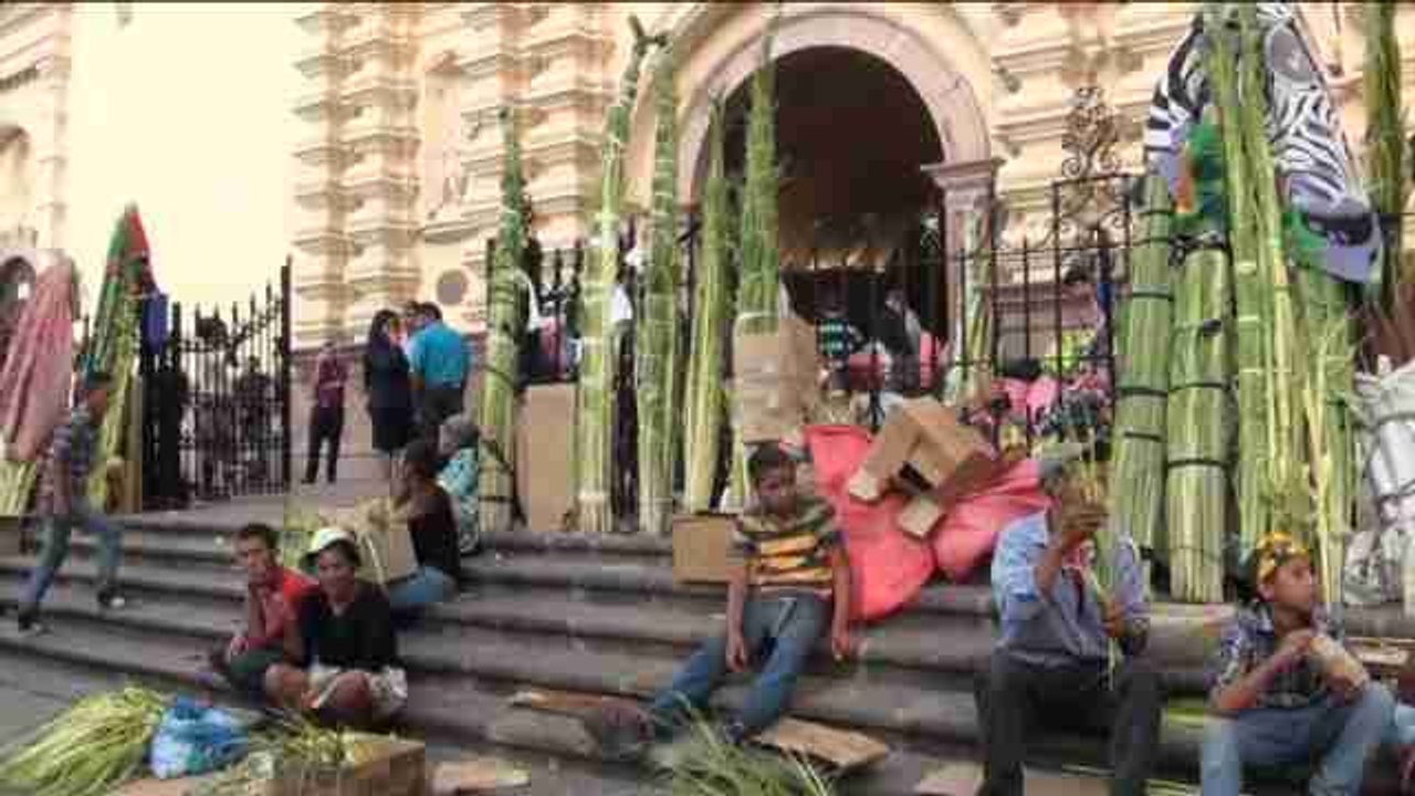 Campesinos de Honduras preparan las palmas para el Domingo de Ramos