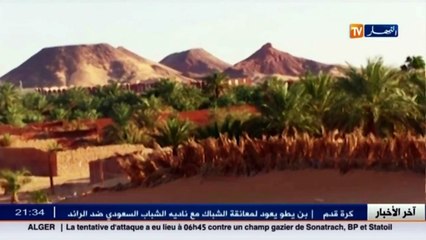 جزائريون - شيفرة خاصة للتعرف على الجمال الهائمة في الجنوب الكبير