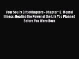 PDF Your Soul's Gift eChapters - Chapter 13: Mental Illness: Healing the Power of the Life