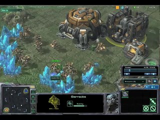 Starcraft 2 Beta  Unbeatable Protoss 1v1 Strategy
