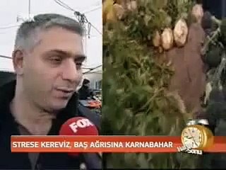 karnıbahar kereviz lahana brokoli faydaları yararları zayıflatırmı ne işe yarar strese baş ağrısı