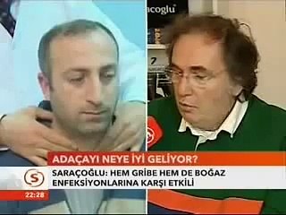 adaçayının faydaları adaçayı zayıflatırmı nasıl demlenir-hamilelikte adaçayı kullanımı