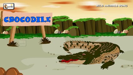 Wild Animals Song Zoo animals for children